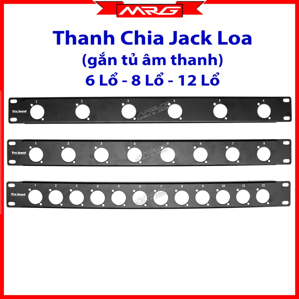 Thanh Chia Jack Loa 6 Lổ 8 Lổ 12 Lổ, thanh sắt 6 lổ 8 lổ 12 lổ gắn tủ âm thanh thanh, giá 1 thanh.