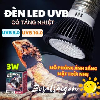 ĐÈN LED UVB 5.0 - 10.0 Hấp thụ CANXI cho BÒ SÁT THÚ CƯNG PET CHIM RÙA Chính Hãng NOMOY 3W giá rẻ sỉ SHIP CẤP TỐC