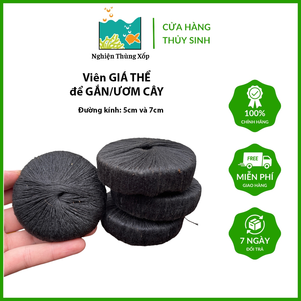 Viên Giá Thể dùng tự cắm cây Thủy sinh