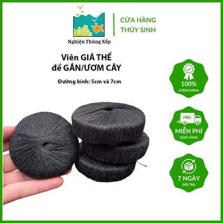 Viên Giá Thể dùng tự cắm cây Thủy sinh