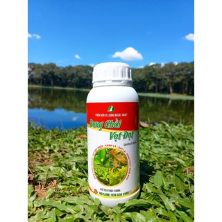 Bung chồi vọt đọt - chuyên kích rễ, đọt các loại cây trồng