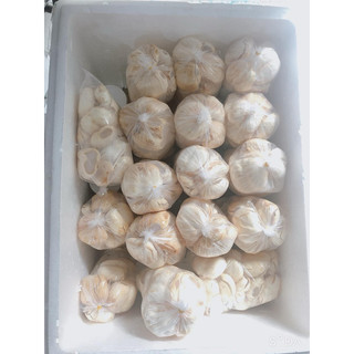 Thốt nốt tươi Đặc sản An Giang