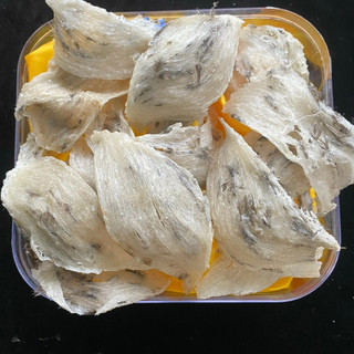 1lạng tổ yến thô nhà nuôi già tổ hơi lông tặng đường táo chia và nhíp nhặt lông