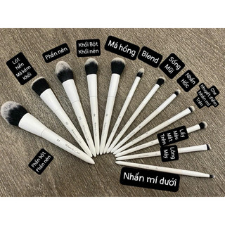 Cọ Cá Nhân 12Cây CeLin