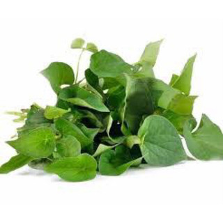 Bột diếp cá 100gr