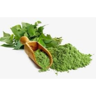 Bột diếp cá 100gr