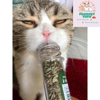 Cỏ mèo-Cỏ bạc hà dạng ống cho meomeo