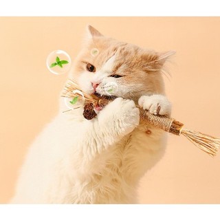 Catnip thanh gỗ cho mèo, cỏ mèo khô, đồ chơi mài răng, mài móng cho thú cưng