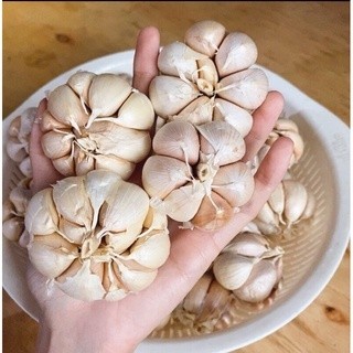 Tỏi Đà Lạt thơm ngon dễ bóc tép to