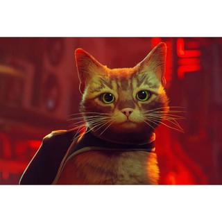Đĩa Game PS4 Stray -  Cuộc phiêu lưu của chú mèo lạc trong thành phố robot