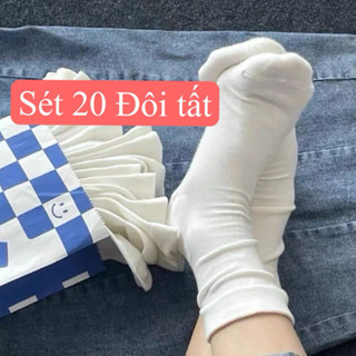 Sét 20 đôi Tất cao cổ nữ chất trơn cotton trơn mềm , 3 màu cổ bo chun siêu co giãn vì