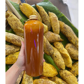 500ml mật ong rừng ruồi tây nguyên