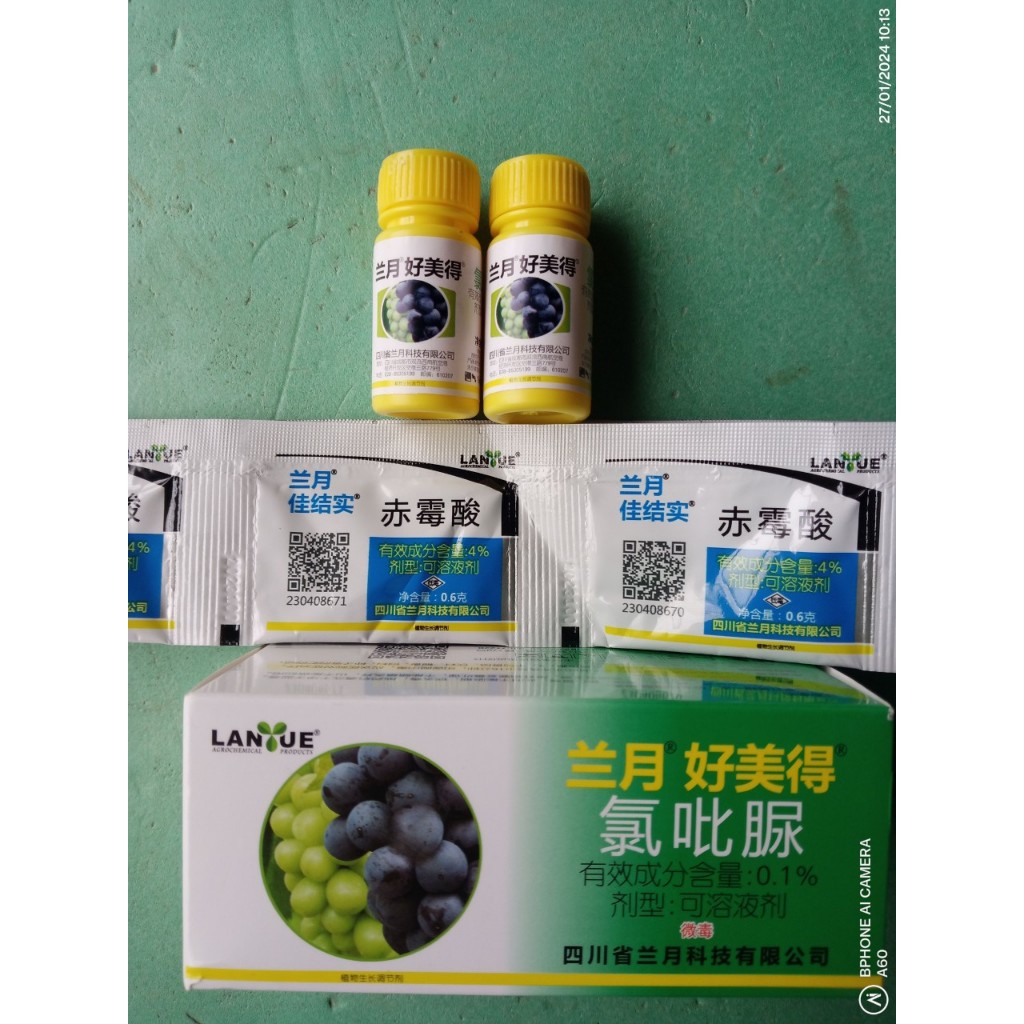 Bộ xử lý không hạt, dãn chùm, to đẹp quả cho Nho (Mẫu Đơn, Kyoho....)