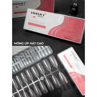 Móng up anglica chính hãng, móng up anglica đủ phom hộp 240 - 260 móng 12 size siêu dẻo ôm form móng.