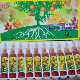 Vỉ 10 ống kích rễ chuyên dùng cho Giâm, Chiết cành MĐ 901 (Ống 10ml). Tốt cho mai vàng, hoa hồng, hoa giấy.
