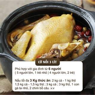 Nồi đất nấu bếp từ 2-3 lít (Men sứ nâu) - NodaCook