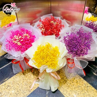   HỎA TỐC  Ảnh thật bó hoa baby khô nhiều màu,cánh hoa chắc chắn,bền màu làm quà tặng sinh nhật,trang trí siêu xinh Lala 