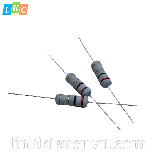 Điện trở 2R 2W (túi 10c)