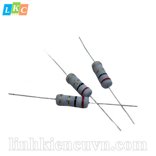 Điện trở 2r 2w