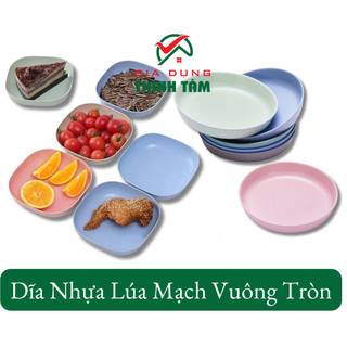 Dĩa nhựa lúa mạch vuông tròn nhỏ
