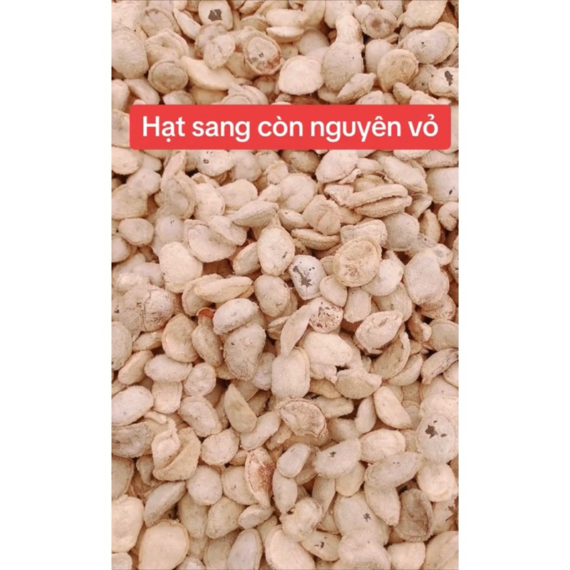 HẠT SANG TRẮNG - KHẮC TINH CỦA ĐAU DẠ DÀY, ĐẠI TRÀNG