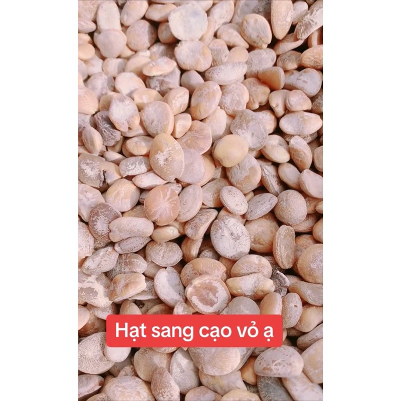 HẠT SANG TRẮNG - KHẮC TINH CỦA ĐAU DẠ DÀY, ĐẠI TRÀNG