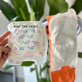 Miếng lót thấm hút dán tã vải cho cún đực / Bỉm lót tả quấn cho chó đực - Đảo Thú Cưng