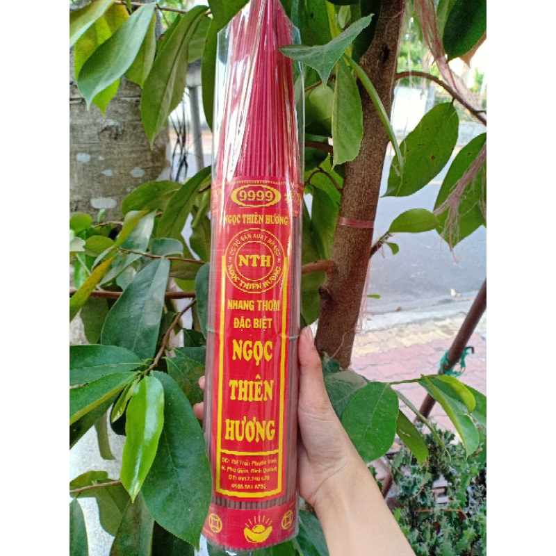 [ NHANG THƠM ] NHANG QUẾ [ NHỎ, TRUNG, LỚN]