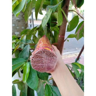 [ NHANG THƠM ] NHANG QUẾ [ NHỎ, TRUNG, LỚN]