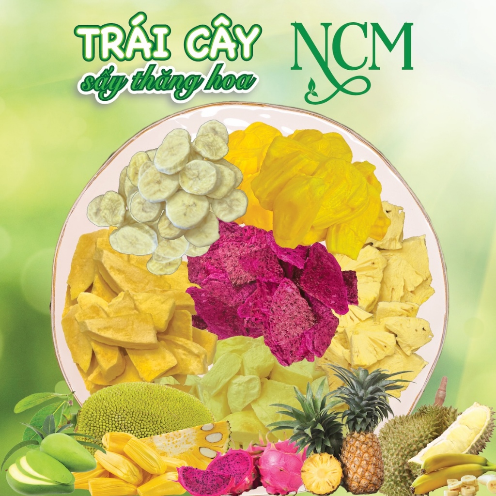 Sầu Riêng sấy thăng hoa NCM hộp 20g, 100% trái cây tươi tại trang trại công ty Thái Ý Phương