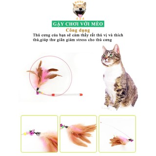 Gậy chơi với mèo