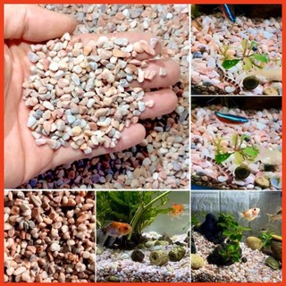 Sỏi núi lửa-trải nền trang trí bể cá cảnh thuỷ sinh