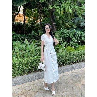 Đầm bigsize dáng dài ngắn tay dịu dàng thướt tha ( Thời trang Vicky G - Anitagreen ) HN140324