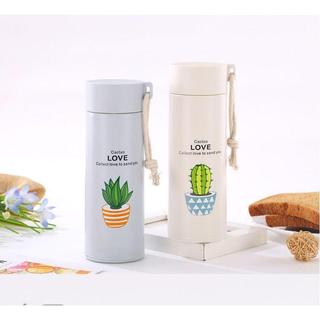 Bình nước thủy tinh bọc nhựa Xương Rồng Catus