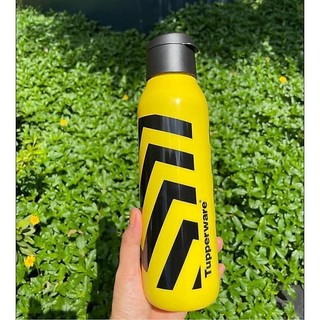 Bình Nước Eco Bottle Fancy 750ml - Tupperware