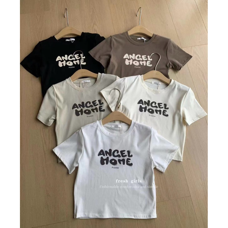 ÁO PULL BABY TEE ANGEL HOME VÀ THỎ BUNNY FREE SIZE