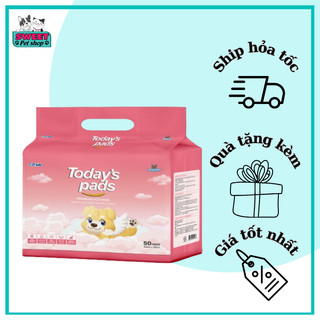 Miếng lót vệ sinh cho chó TODAY'S PADS loại 50 miếng (40X50CM)