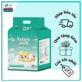Miếng lót vệ sinh cho chó TODAY'S PADS loại 20 miếng (60X76CM)