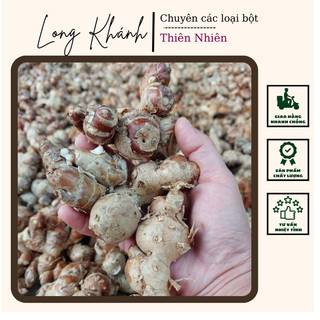 Củ xá kén/xá kiếng/địa liền tươi củ to, sạch 1kg Đồng Nai
