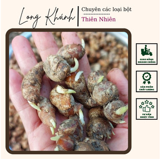 Xá kén/xá kiếng/địa liền nhỏ, mầm 0.5kg