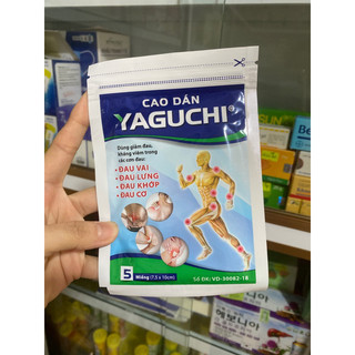 CAO DÁN YAGUCHI
