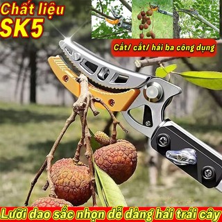 Kéo Cắt Cành Thu hoạch trái cây ở độ cao từ 3-5 mét. kéo cắt cành trên cao Kéo hái hoa quả trên cao kéo cắt tỉa cành