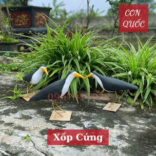 chim quốc mồi giả