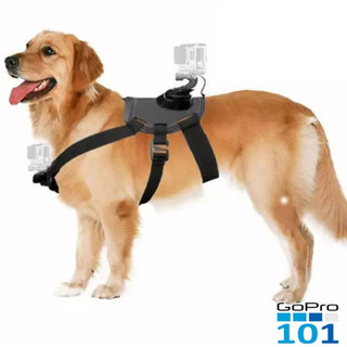 Dây đeo camera GoPro gắn lưng, bụng cho thú cưng Dog Fetch Harness GoPro