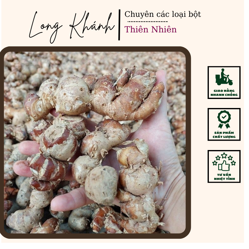 củ xá kén (sa khương, gừng cát) tươi 1kg KHÔNG LẪN NON
