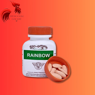 Rainbow nuôi gà đá gà tơ 1 hũ 100 viên