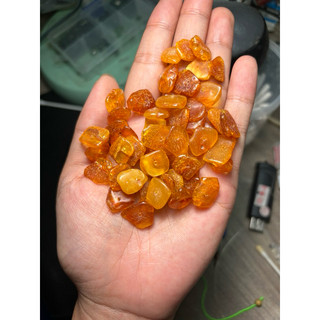 [5viên] Amber H.ổ phách rìa thô mài bóng, set 5 viên làm HandMade ,DIY