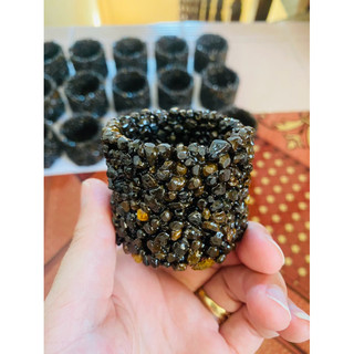 Combo 10 chậu Napad ươm cây