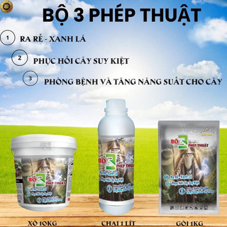 𝐏𝐇𝐀̂𝐍 𝐁𝐎́𝐍 𝐁𝐎̣̂ 𝟑 𝐏𝐇𝐄́𝐏 𝐓𝐇𝐔𝐀̣̂𝐓 raw rin phục hồi suy kiệt, kích rễ, xanh lá, phòng bệnh, đề kháng