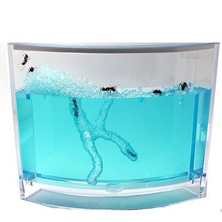 Bộ Đồ Chơi Khoa Học Nghiên Cứu Tổ Kiến Cao Cấp - Bộ Nuôi kiến 4D Ant Works Youngcityshop